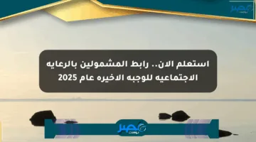 استعلم الآن.. رابط المشمولين بالرعاية الاجتماعية للوجبة الأخيرة عام 2025
